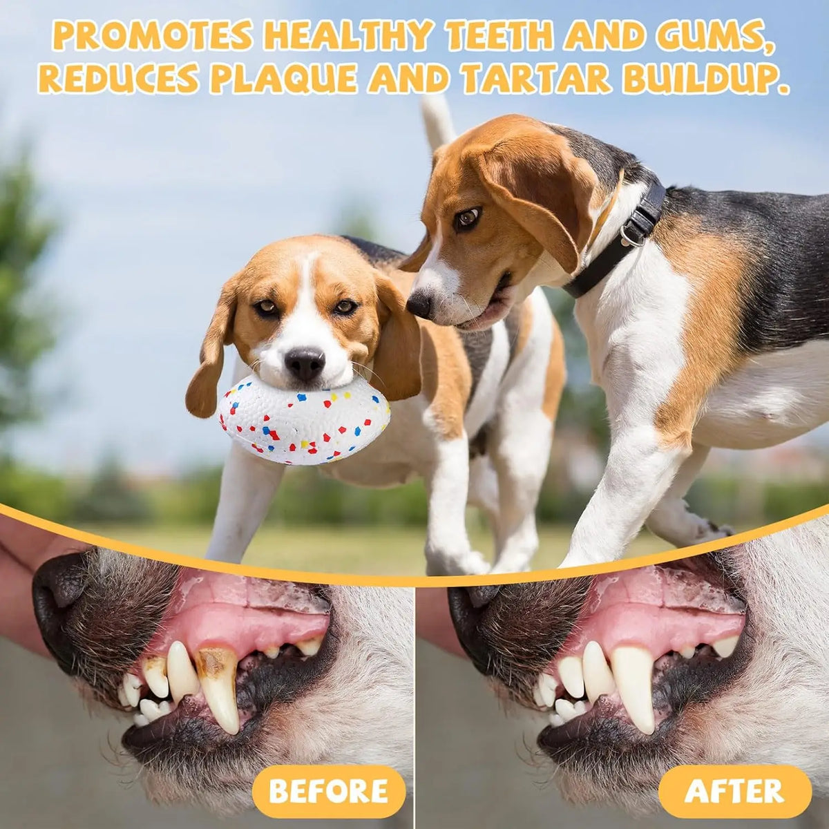 Dog Ball for Aggressive Chewers