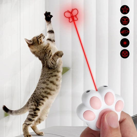 Laser Pet Toy
