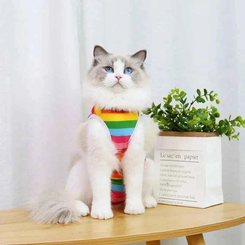 Kitty Recovery Pajamas