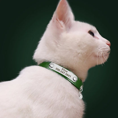Personalized Cat Collar