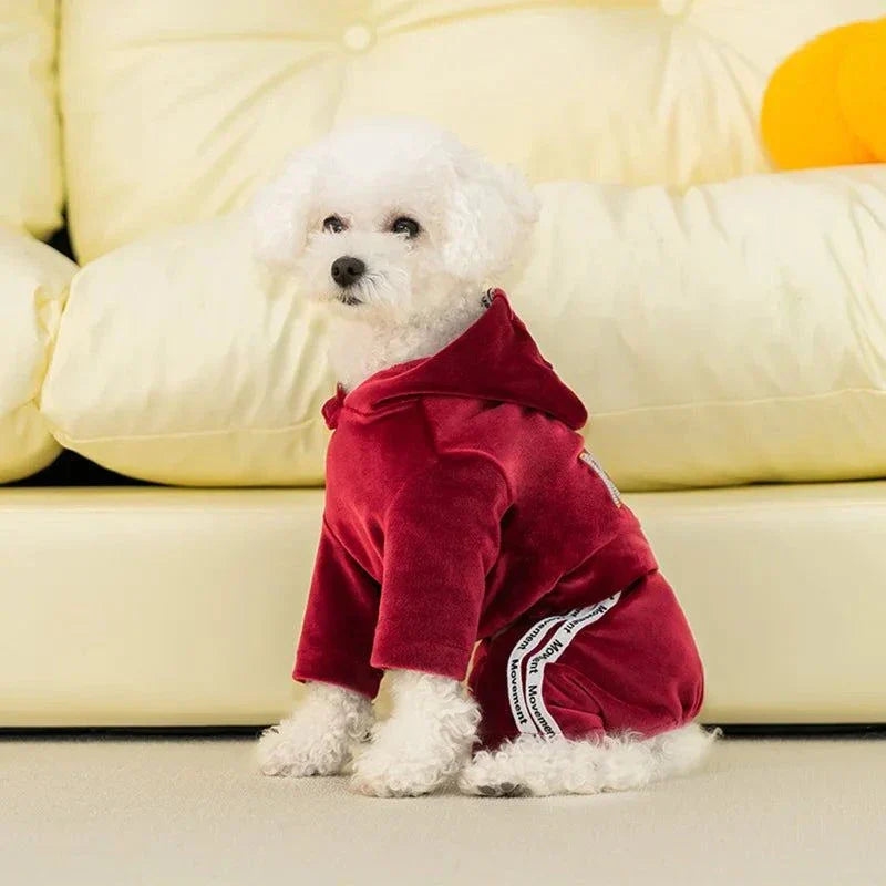 Velvet Pet-suit