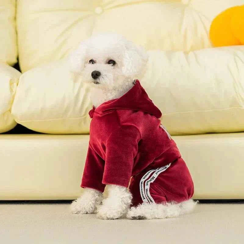Velvet Pet-suit