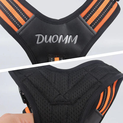 Large Breed Tactical Harness