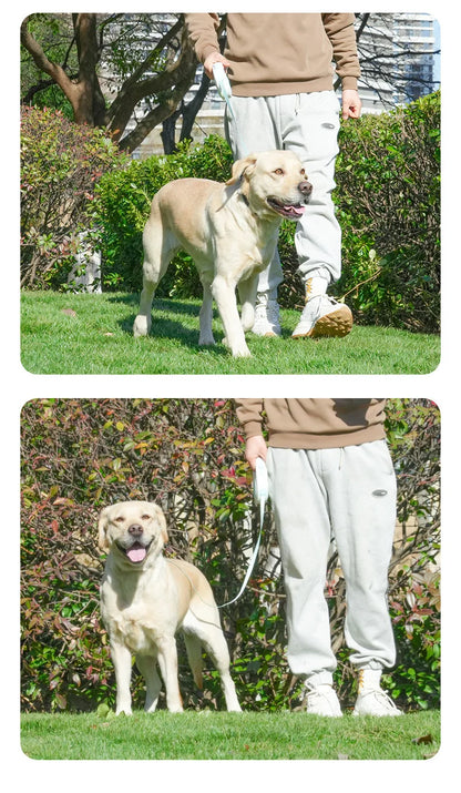 3/5 Meter Retractable Pet Leash for Small Dogs