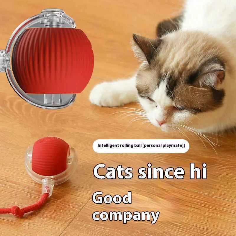 Automatic Rolling Ball
