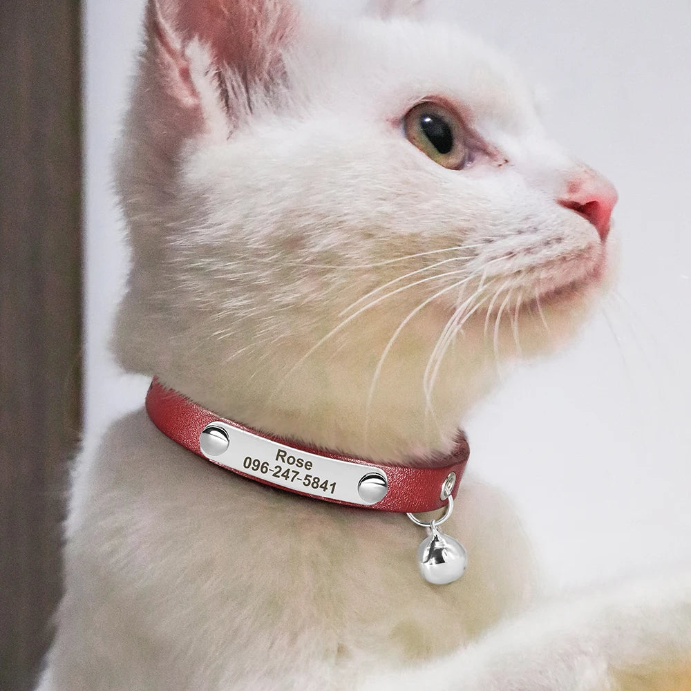 Personalized Cat Collar