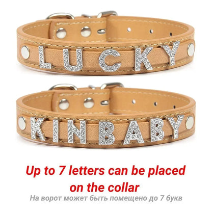 Customizable Pet Collar