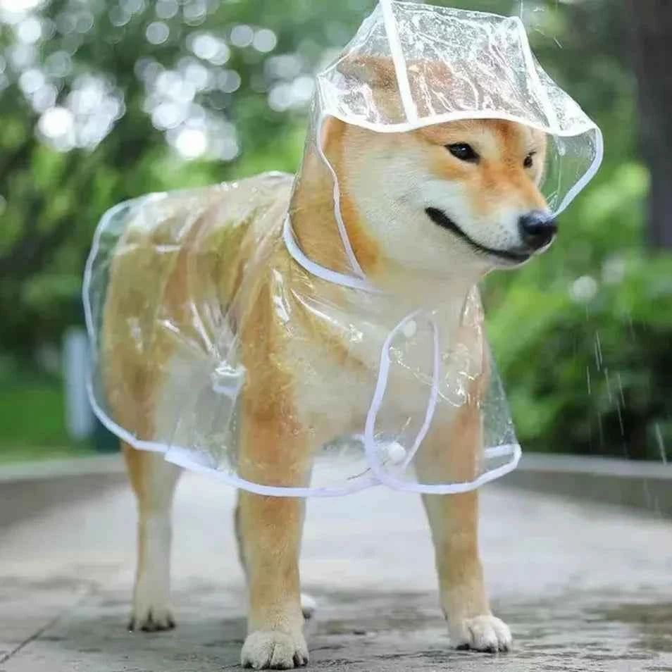 Small Breed Dog Rain Poncho: Keep Your Pup Dry and Happy