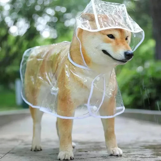 Small Breed Rain Poncho