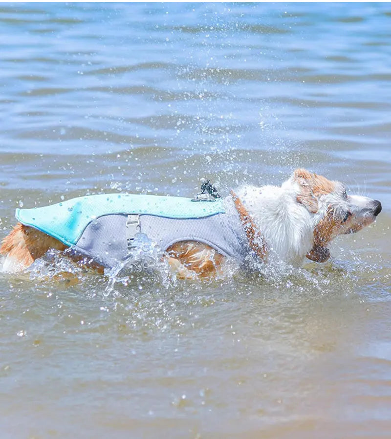 Dog Cooling Vest with UV Protection Front View