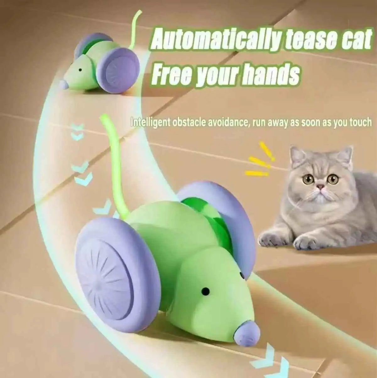 Electric Mouse