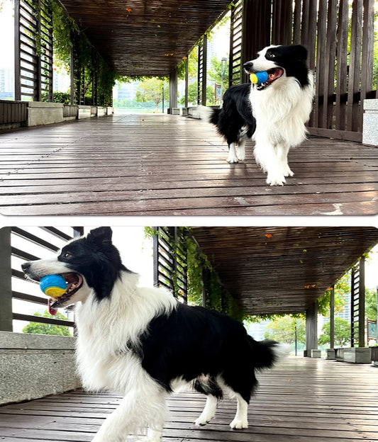 Pet Rubber Fetch Ball