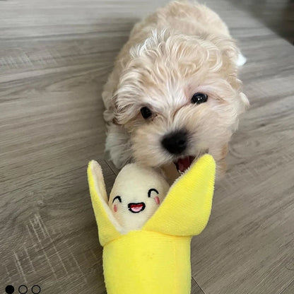A 7-piece set of puppy sound Toys