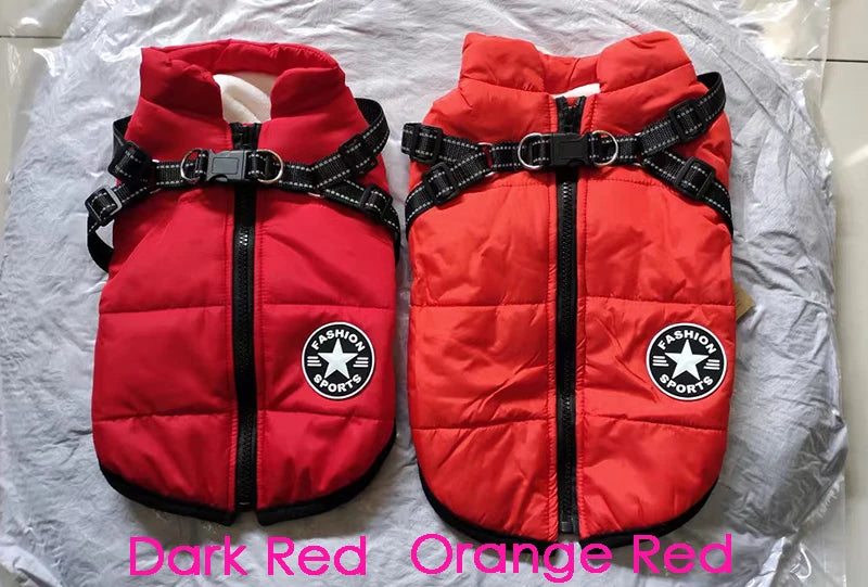 Waterproof Dog Winter Jacket with Harness - Waggy World