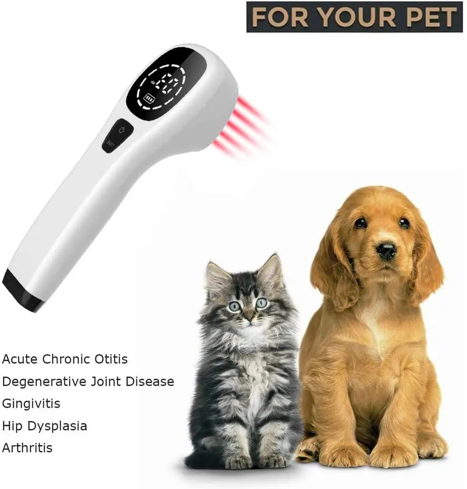 Pet Rehabilitation Therapy Device - Waggy World