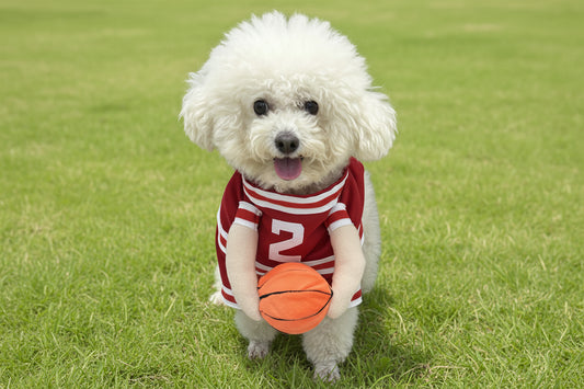 Pet Basketball Sports Uniform