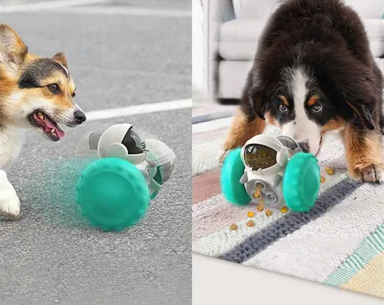 Pet Treat Dispenser