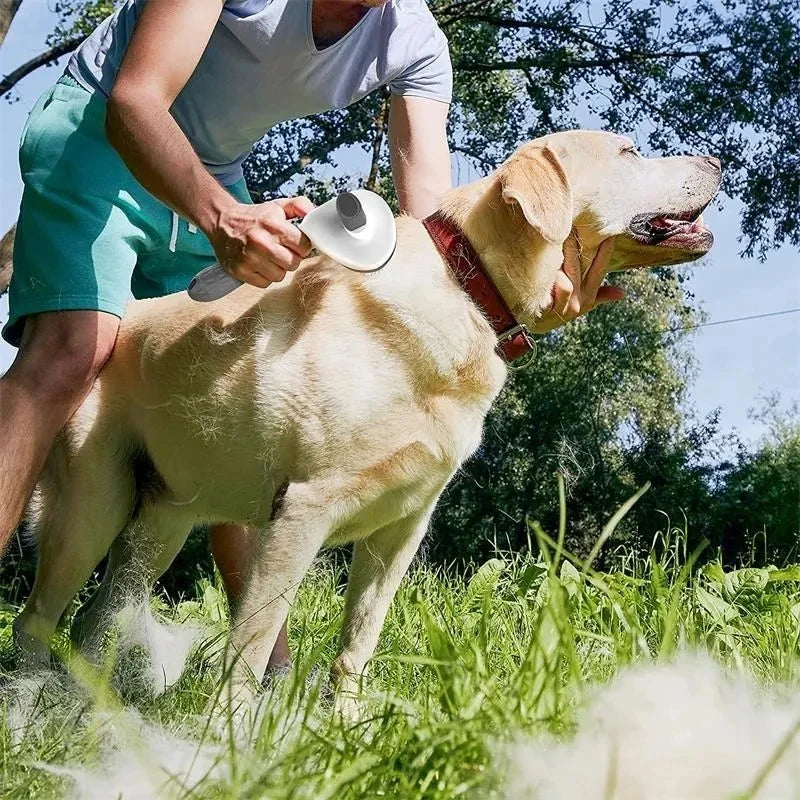 Pet Hair Deshedder