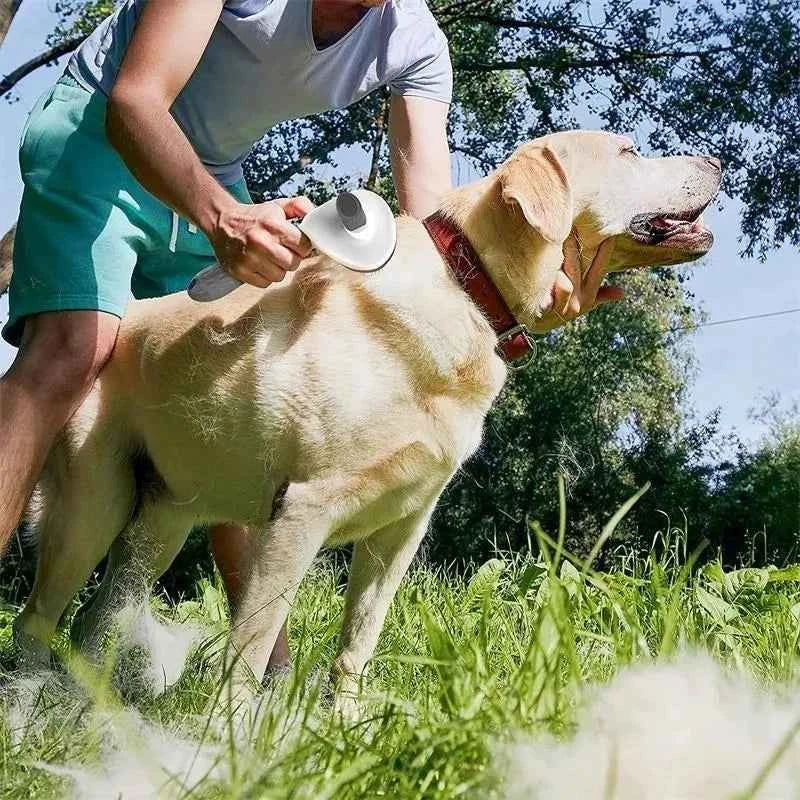 Pet Hair Deshedder