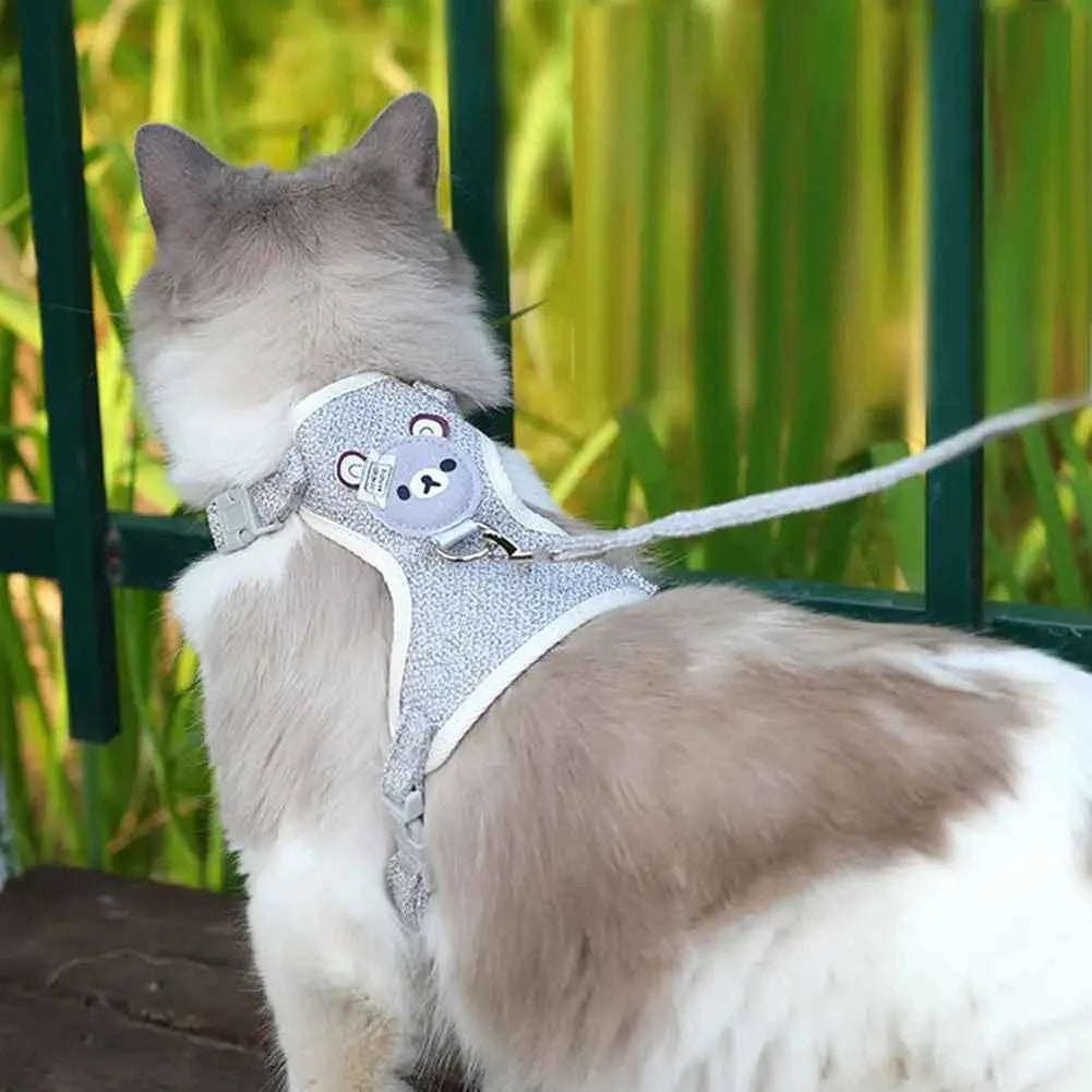Small Breed Leash/Harness Combo