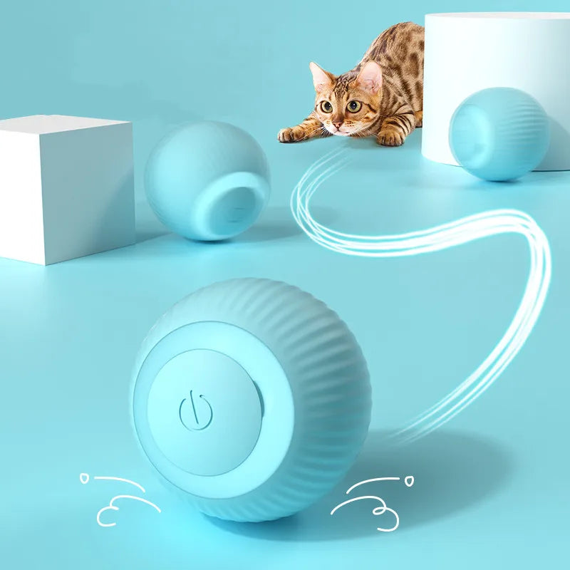 Electric Fetch Ball