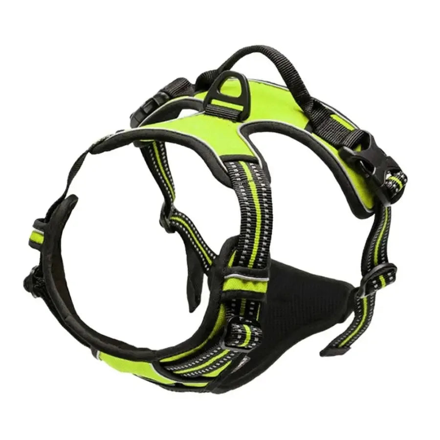 Dog Harness Collar & Leash Set Front View