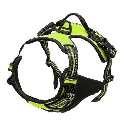 Dog Harness Collar & Leash Set Front View