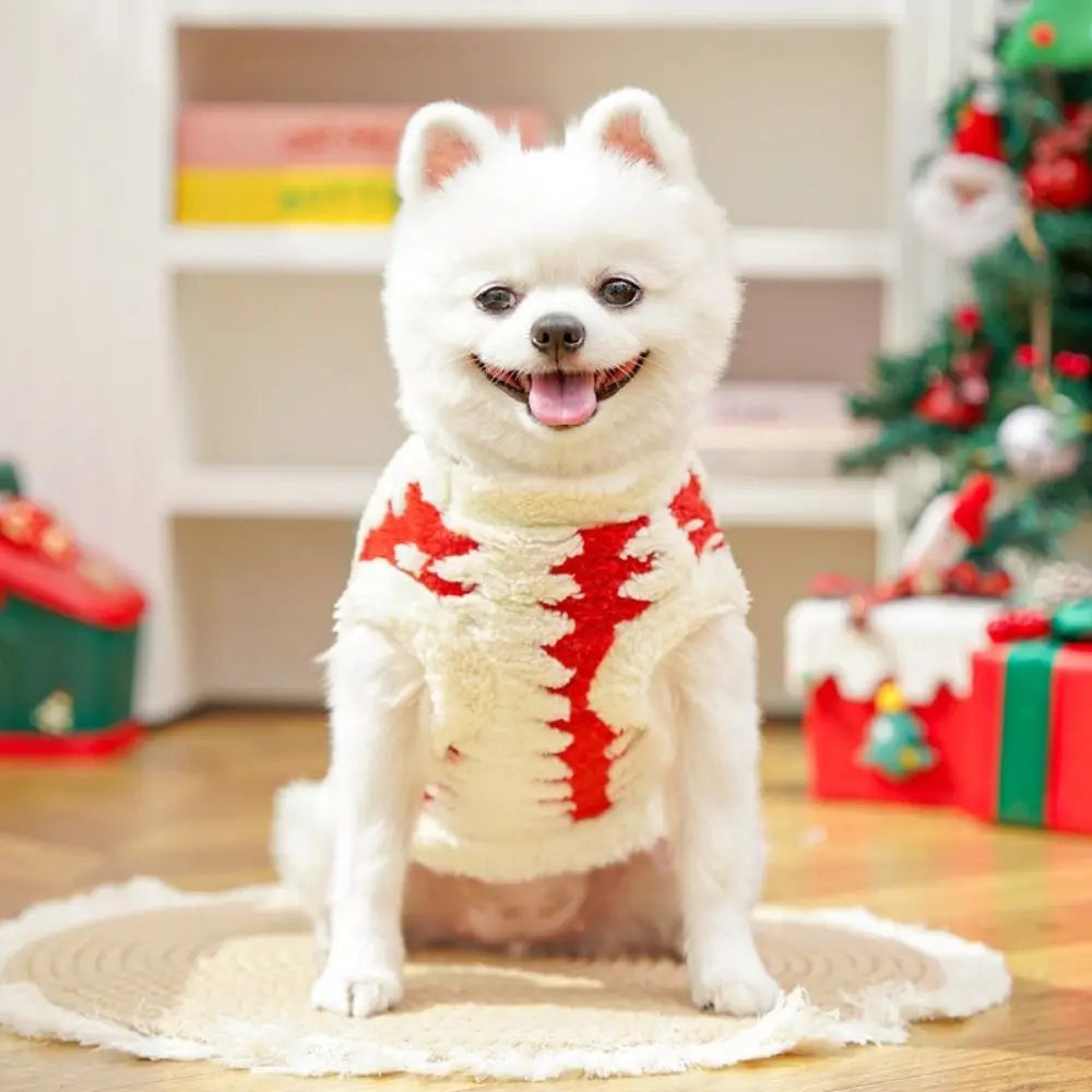 Doggy Holiday Sweater