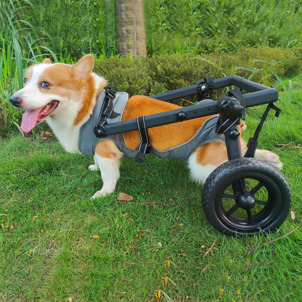 Pet Rehabilitation Mobility Cart - Waggy World