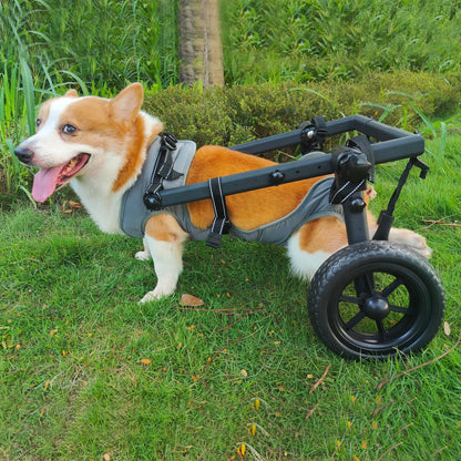 Pet Rehabilitation Mobility Cart