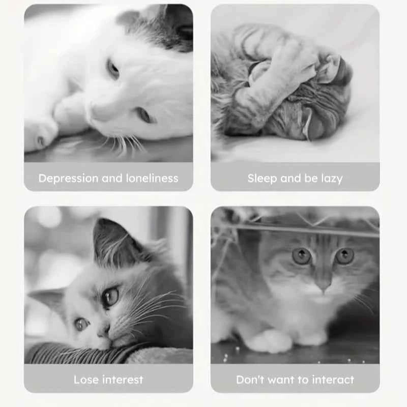 Feline Treat Toy