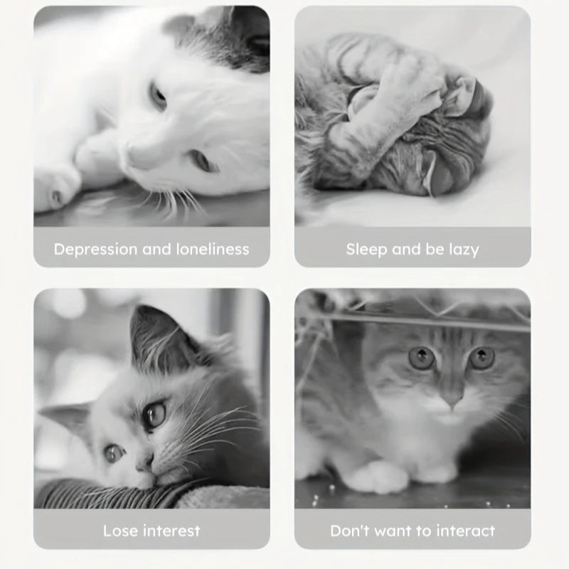 Feline Treat Toy