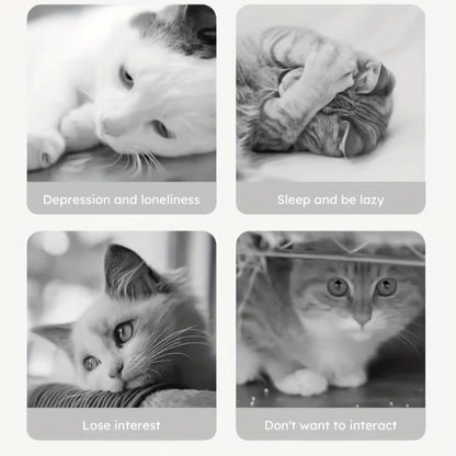 Feline Treat Toy