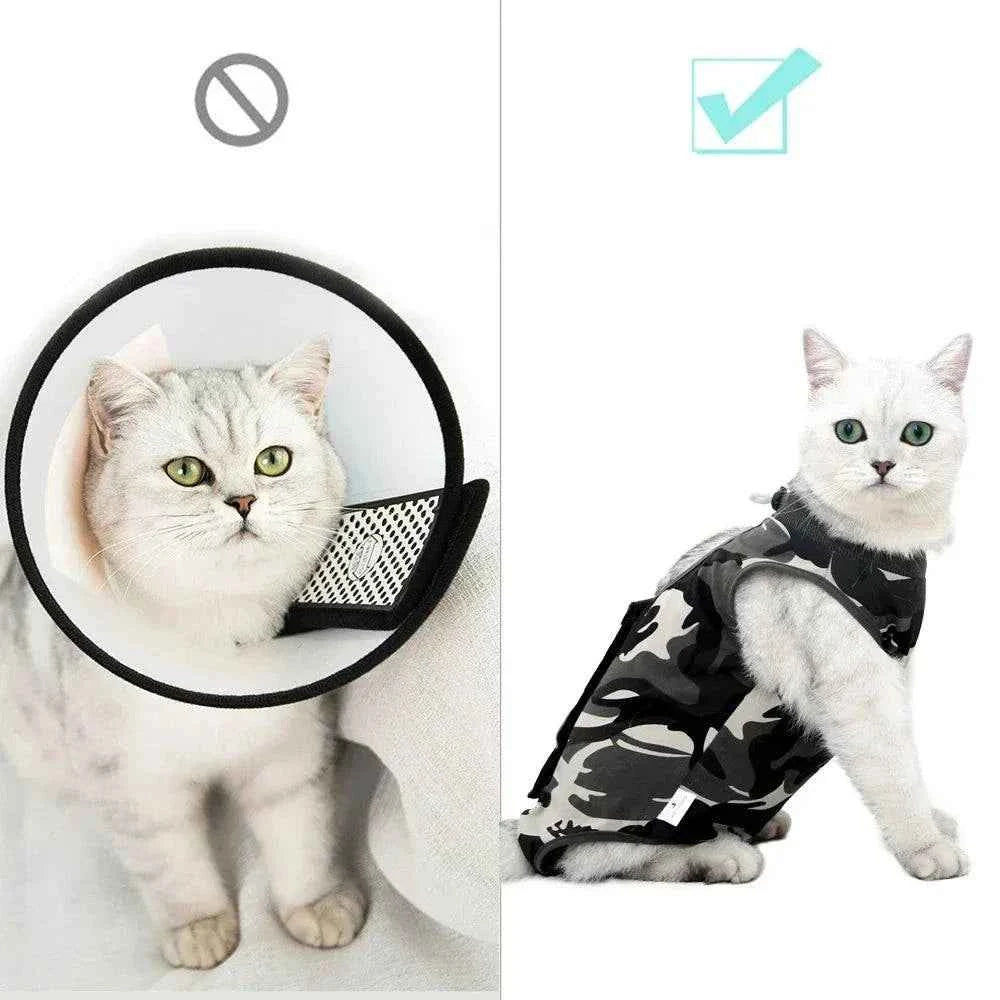 Post Surgery Cat Onesie