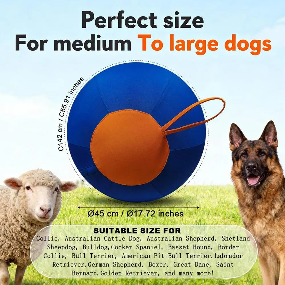 Giant Dog Toy Ball