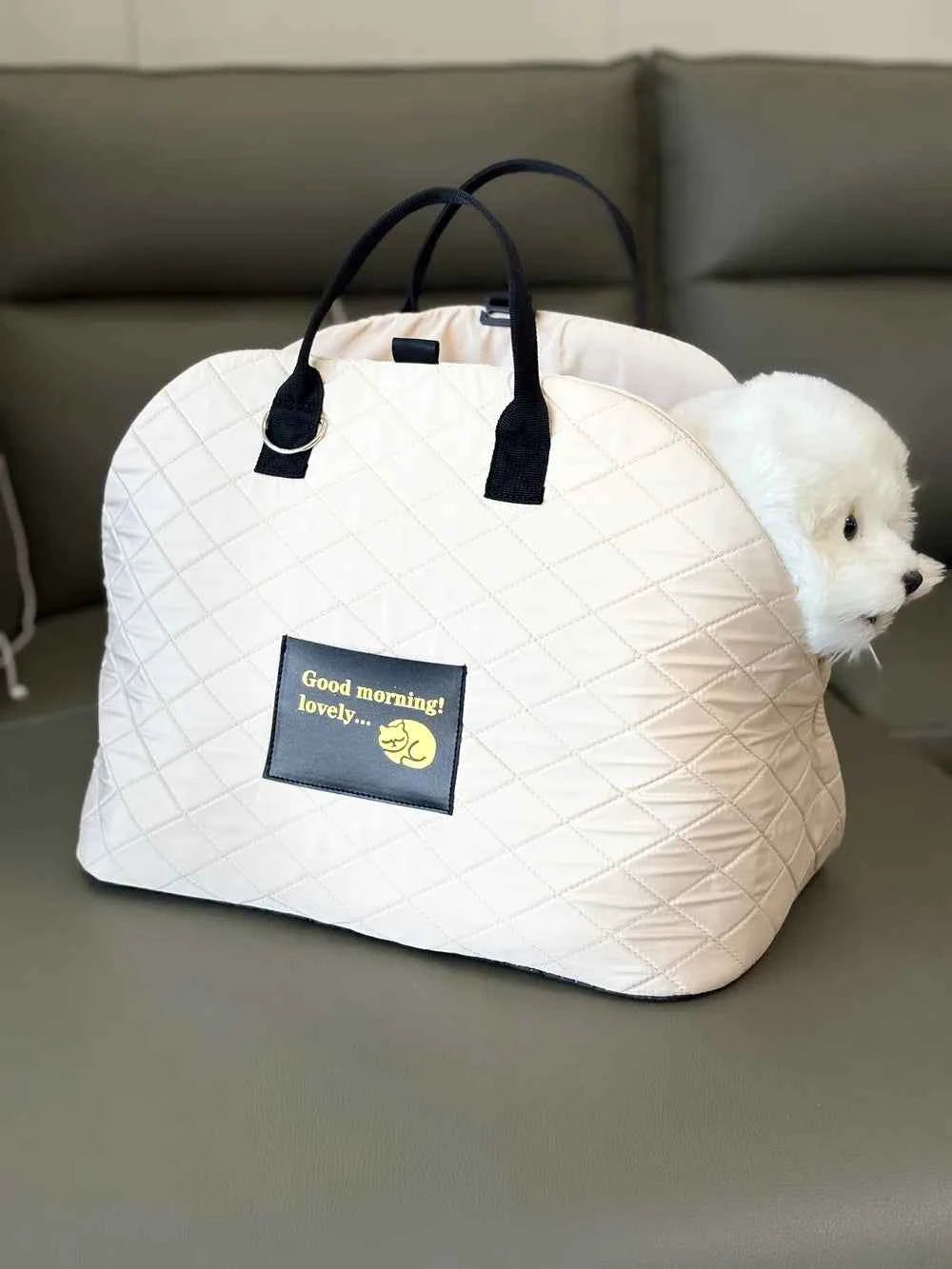 Pet Protection Travel Carrier