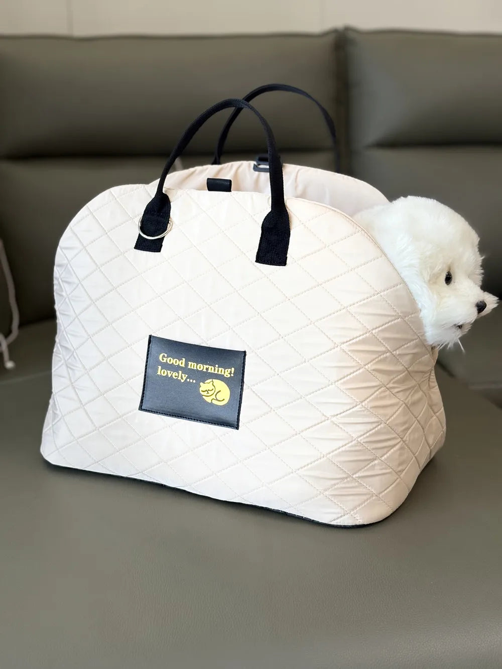 Pet Protection Travel Carrier
