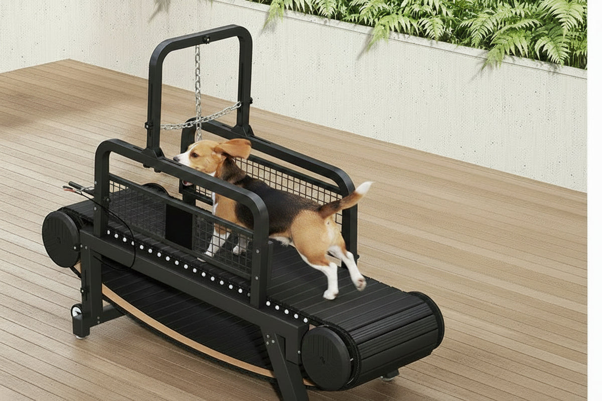 Non-Motorized Adjustable Dog Treadmill - Waggy World