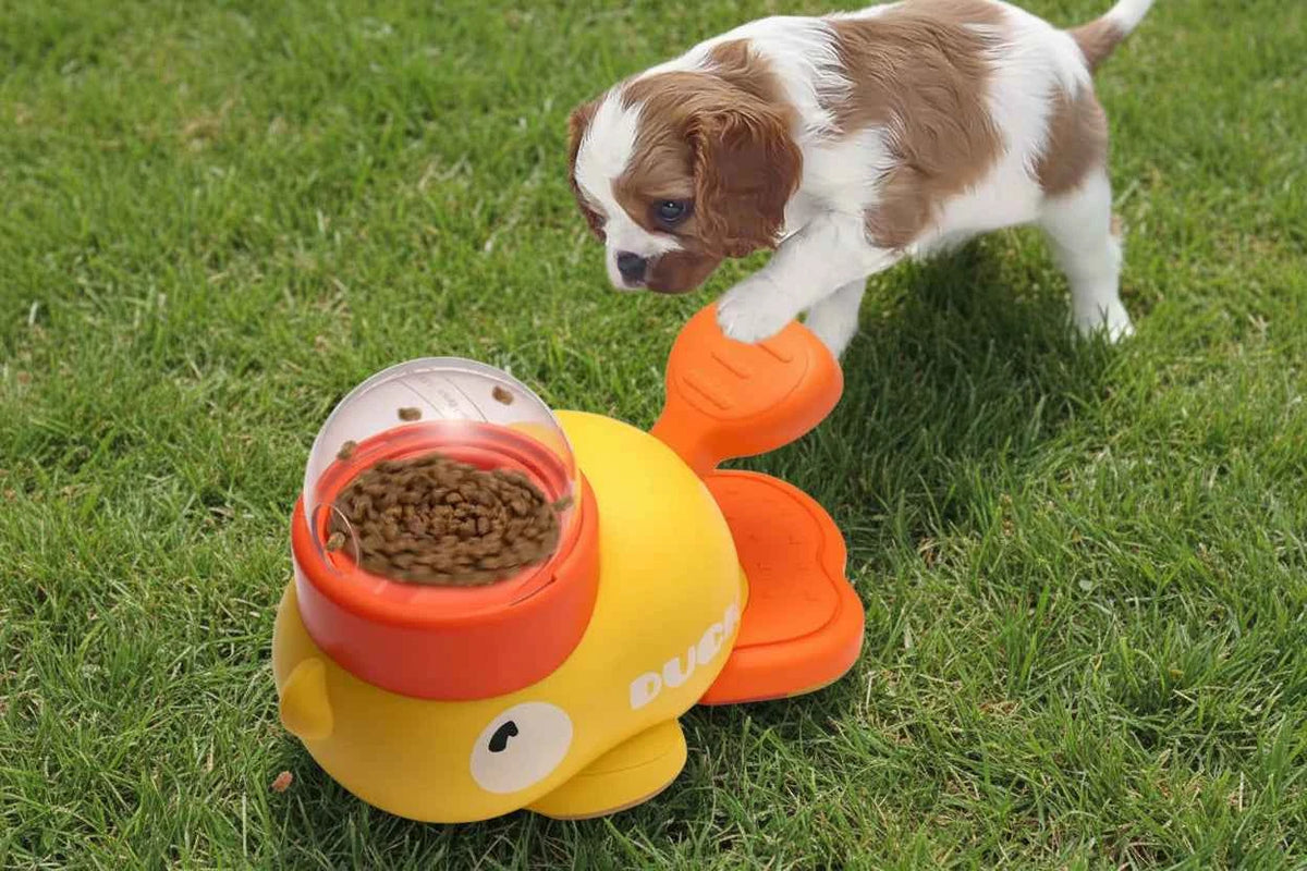 Pet Treat Feeder