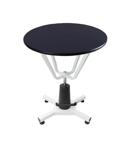Pet Grooming Table