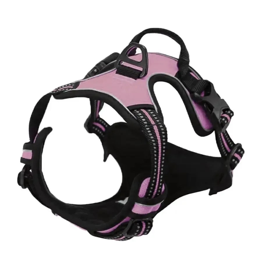 Dog Harness Collar & Leash Set Front View