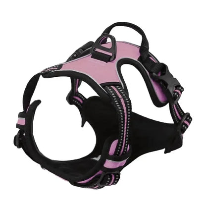 Dog Harness Collar & Leash Set Front View