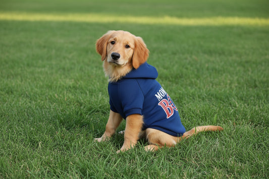 Pet Momma's Boy Hoodie