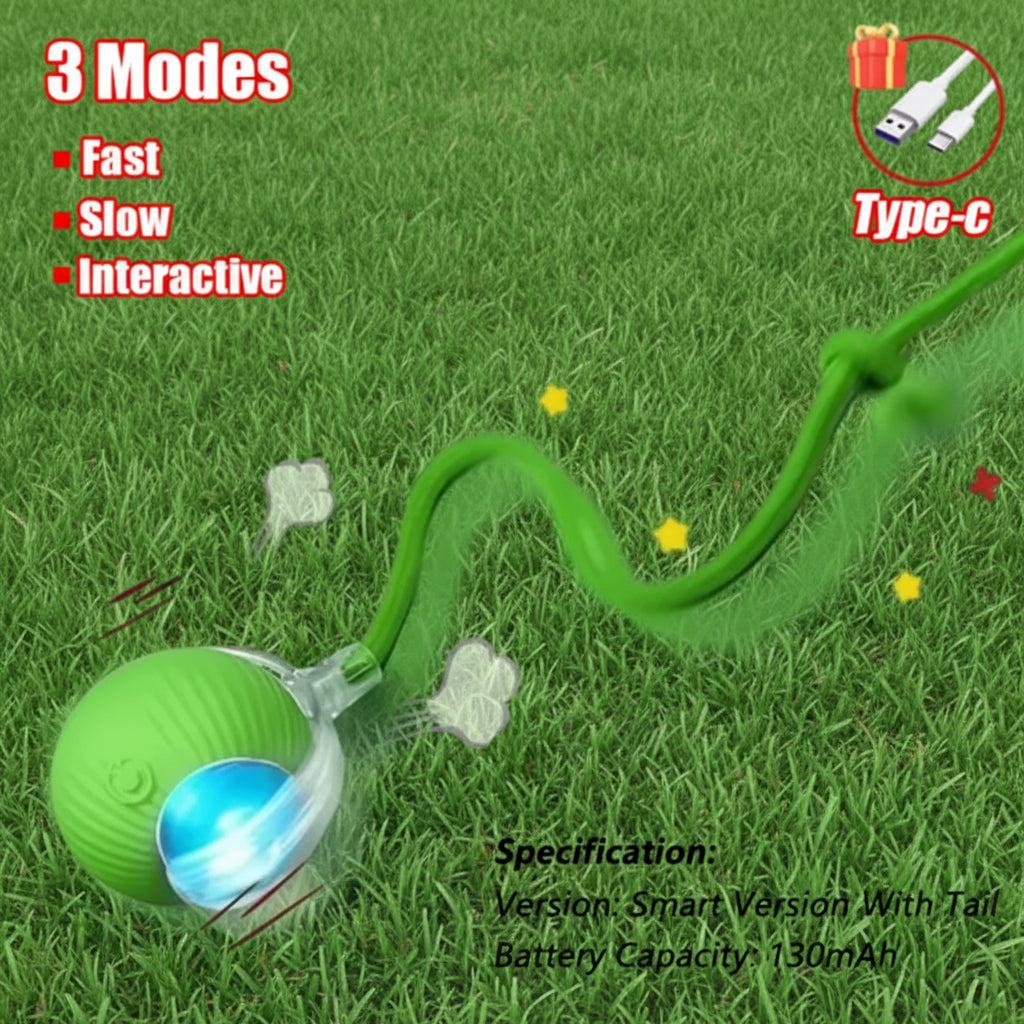 Pet Auto Fetch Ball