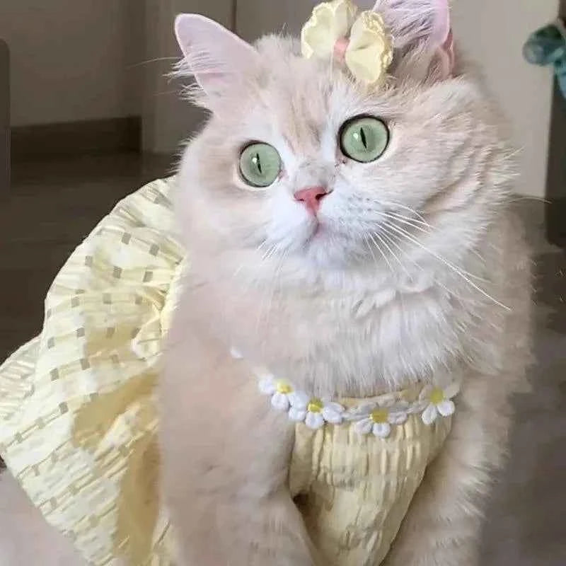 Kitty Summer Dress