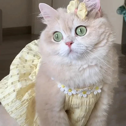 Kitty Summer Dress