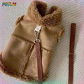 Doggie Vest & Leash