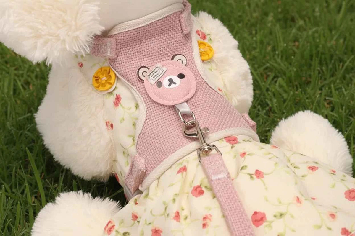 Small Breed Leash/Harness Combo