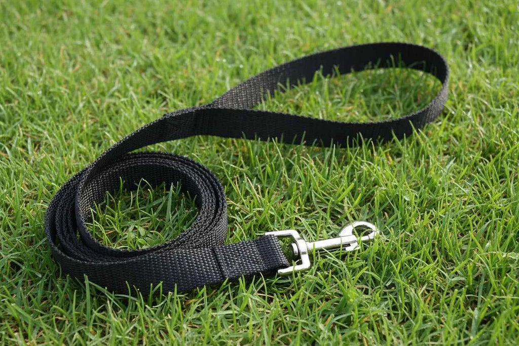 Small Breed Nylon Leash