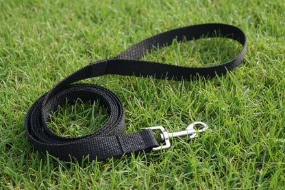 Small Breed Nylon Leash